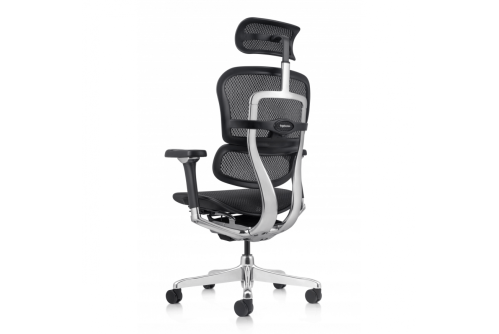 Стол за бюро Ergohuman Elite Pro Gen 2 черен мeш - изглед отзад с регулируема облегалка