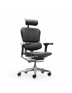 Ergohuman Gen2 Elite LE- 1