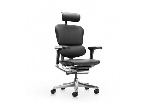 Ergohuman Gen2 Elite LE- 1