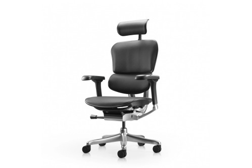 Ergohuman Gen2 Elite LE- 3