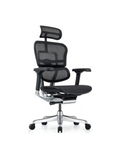 Ергономичен офис стол Ergohuman Elite Gen 2 черен меш