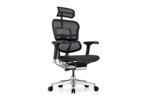 Ергономичен офис стол Ergohuman Elite Gen 2 черен меш