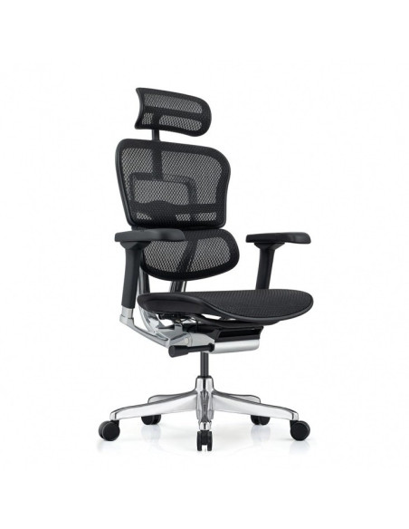 Ергономичен офис стол Ergohuman Elite Gen 2 черен меш