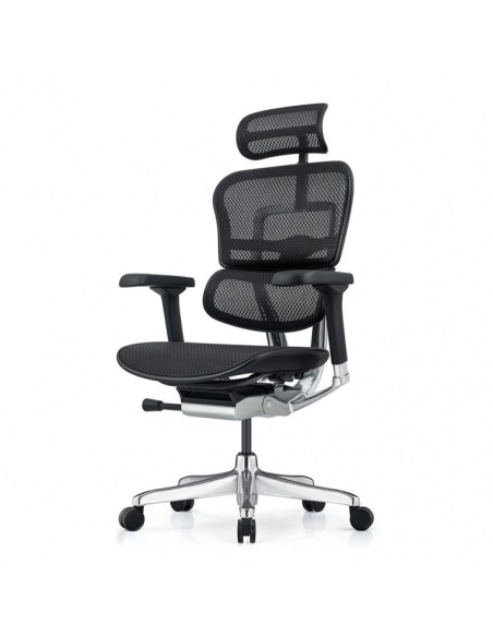 Офис стол Ergohuman Elite Gen 2 черен - регулируема облегалка и 5D подлакътници