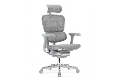 Офис стол за бюро Ergohuman Elite Gen 2 сив - 5D подлакътници и мeш AutoFlex зони