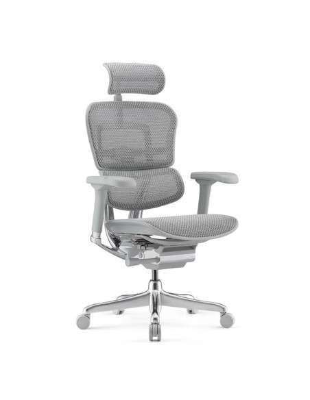 Офис стол за бюро Ergohuman Elite Gen 2 сив - 5D подлакътници и мeш AutoFlex зони