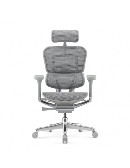 Ергономичен стол Ergohuman Elite Gen 2 сива рамка и сив мeш - изглед отпред