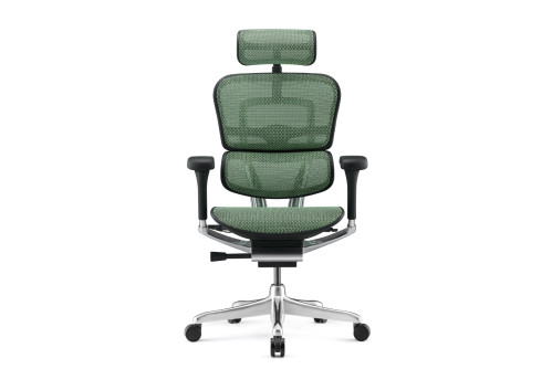 Офис стол Ergohuman Gen2 Elite, зелен меш – изглед отпред с облегалка за глава