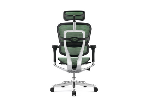 Офис стол Ergohuman Gen2 Elite отзад – зелен мрежеста облегалка и облегалка за глава