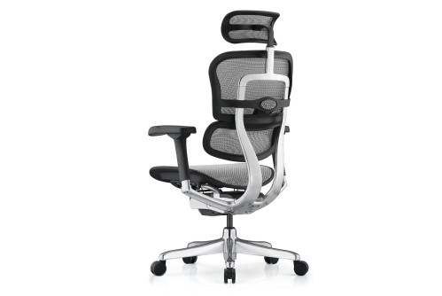 Ергономичен стол Ergohuman Gen2 Elite със сив меш – изглед отзад отстрани
