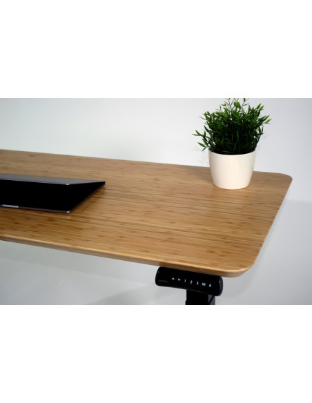 Prodesk Bamboo- 3